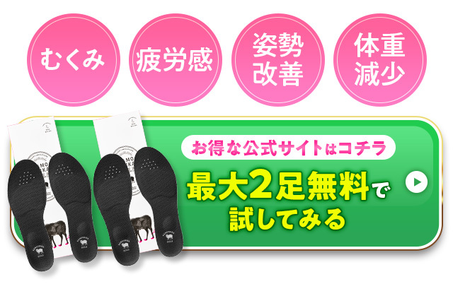 むくみ、疲労感、姿勢改善、体重減少 お得な公式サイトはコチラ 最大2足無料で試してみる